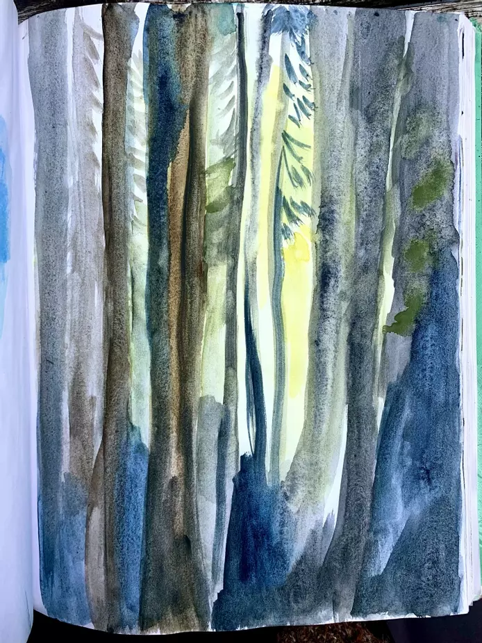 a sketchbook page of trees in the forest, painted with watercolour and chalk pastel. The illustration is of trees in the forest, with light filtering through the trees. The trees are painted in browns, blues and greens with pale yellow pastel in the backg
